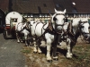 user_66_anspannen_der_kanone