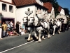 user_66_gespann_im_umzug