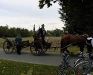 user_66_kutsche_abfahrbereit_ksf01